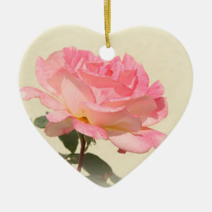 Ornamento color de rosa rosado