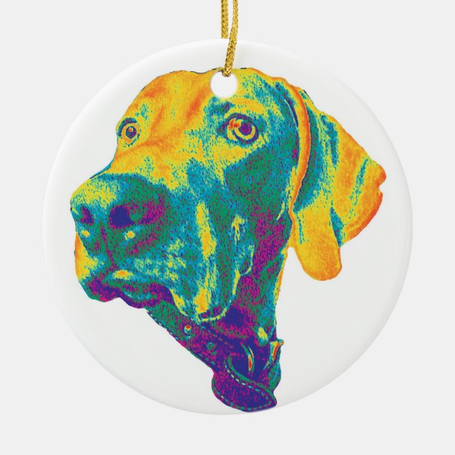 Ornamento colorido del weimaraner (Frente)