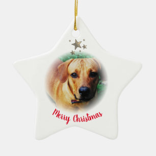 Ornamento con forma de estrella para Navidades per