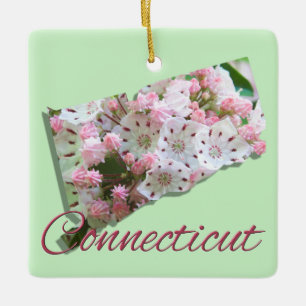 Ornamento - CONECTICUT