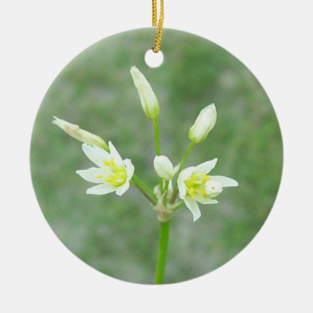 Ornamento conmemorativo de las flores de yard (Frente)