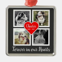 Ornamento conmemorativo mascota con cuatro fotos y