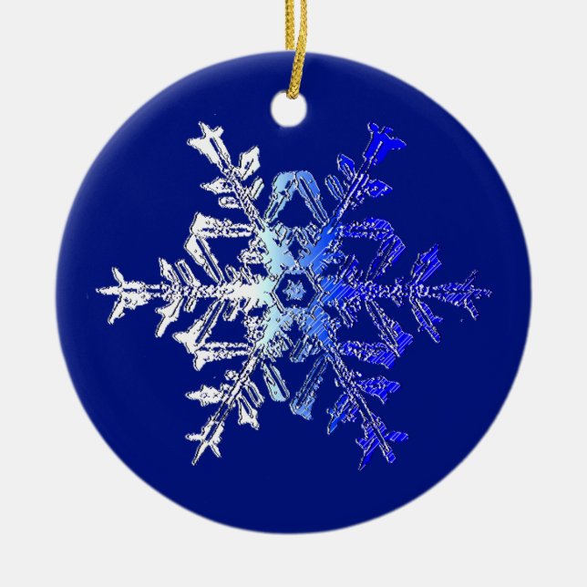 Ornamento cristalino hermoso del copo de nieve (Frente)