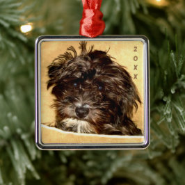 Ornamento cuadrado de Schnoodle Premium