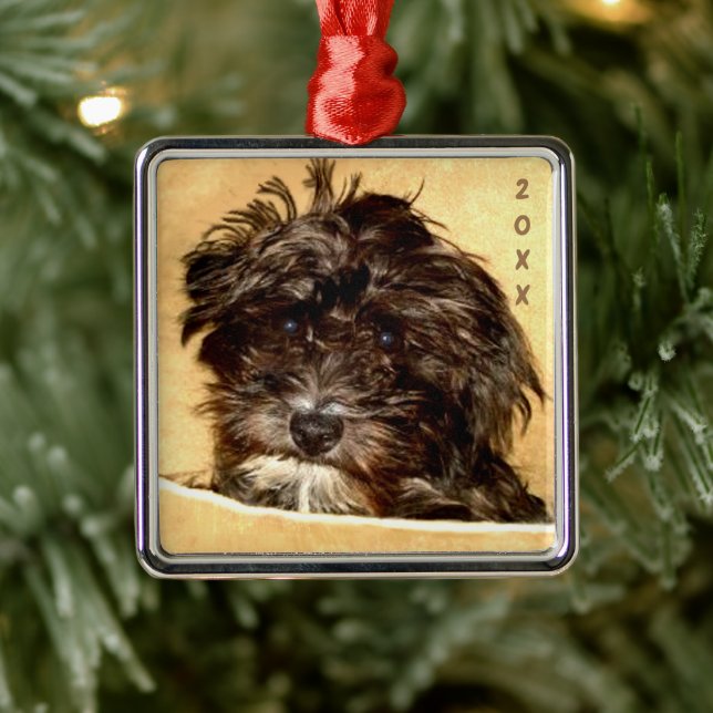 Ornamento cuadrado de Schnoodle Premium (Árbol)