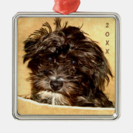 Ornamento cuadrado de Schnoodle Premium