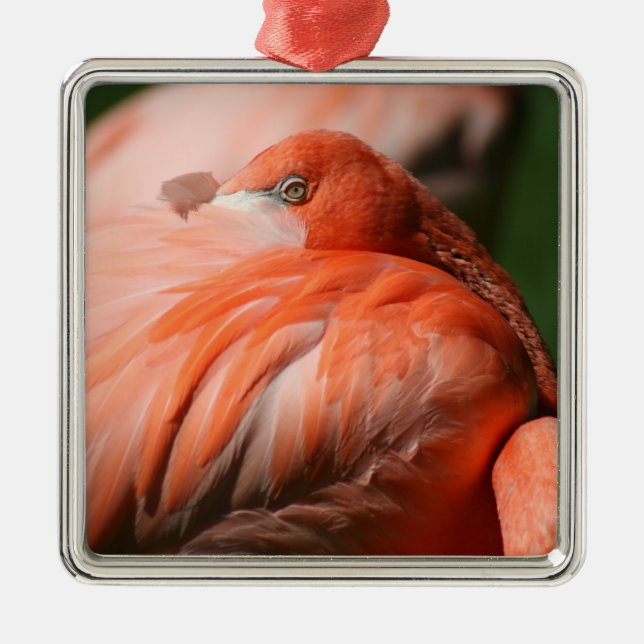 Ornamento cuadrado Flamingo (Frente)