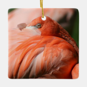 Ornamento cuadrado Flamingo