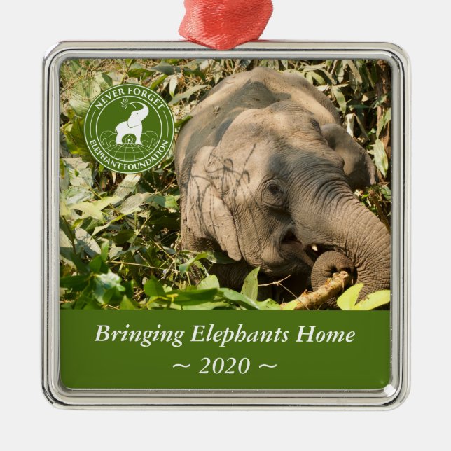 Ornamento cuadrado NFEF (Frente)