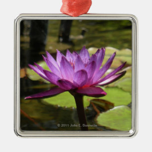 Ornamento cuadrado premium de Lily Water
