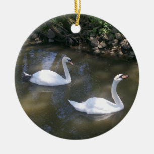 Ornamento curioso de los cisnes