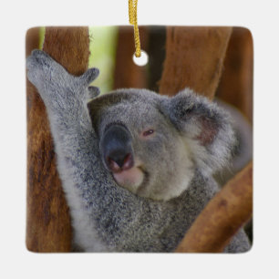 Ornamento Cute Ceramic Koala