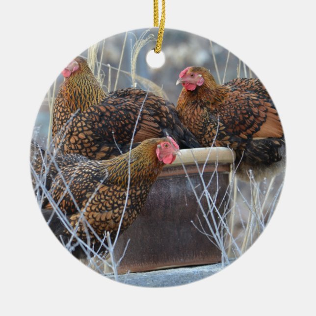 Ornamento Cute de Pollo (Frente)