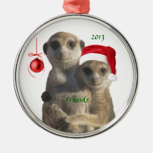Ornamento de 2013 amigos