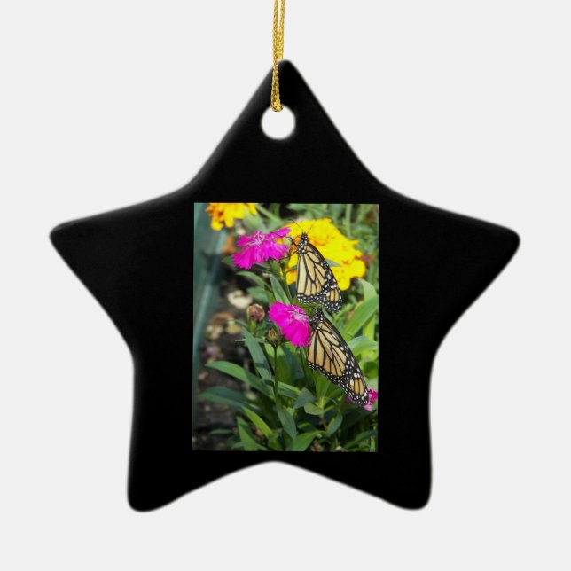 Ornamento de 2 estrellas de Monarch Twins (Frente)