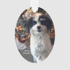 Ornamento de acrílico de las Felices Navidad,