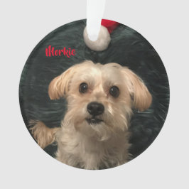 Ornamento de acrílico del navidad de Morkie