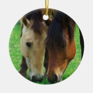Ornamento de amor de Pony