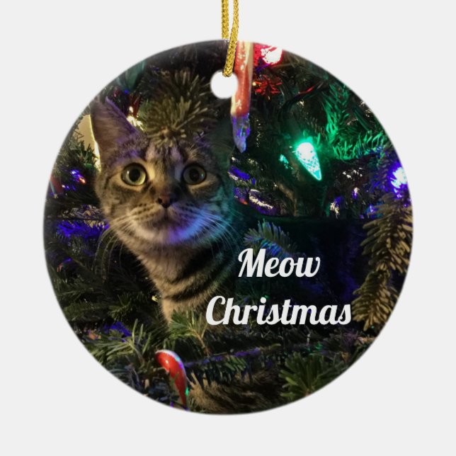 Ornamento de árbol de Navidad de gato tabby (Frente)
