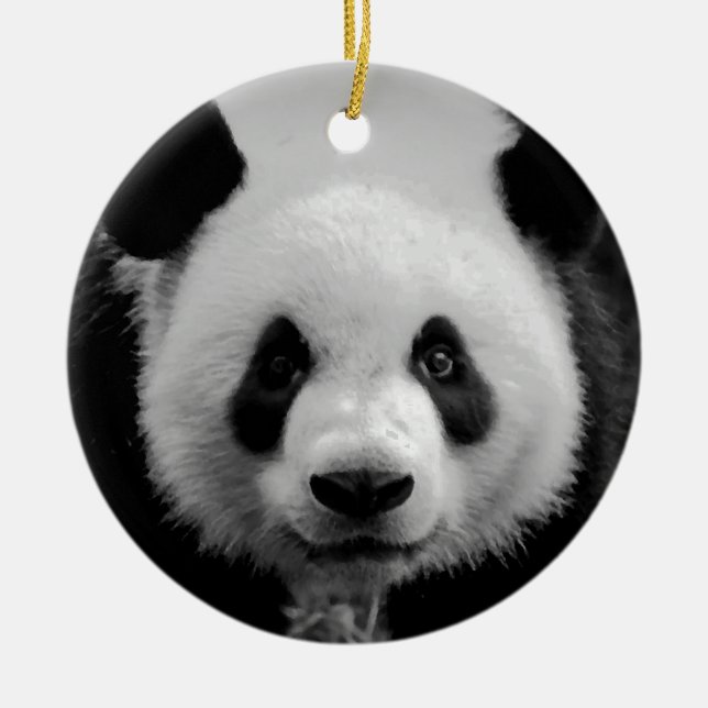Ornamento de árbol de navidad en panda blanco y ne (Frente)