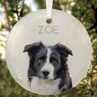 Ornamento de árbol de Navidad Mascota de vidrio pe