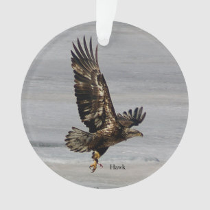 Ornamento de arcílico de halcón