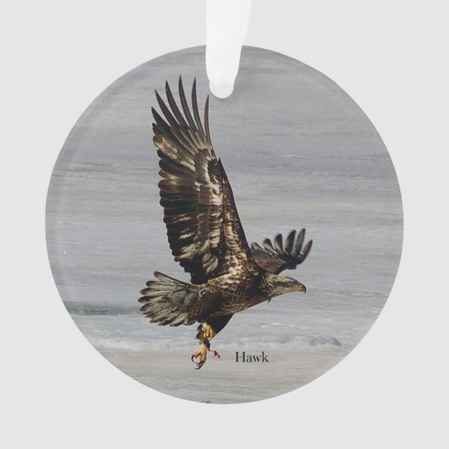 Ornamento de arcílico de halcón (Anverso)