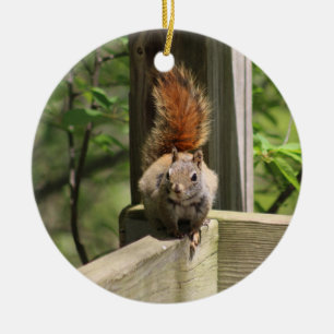 Ornamento de ardilla