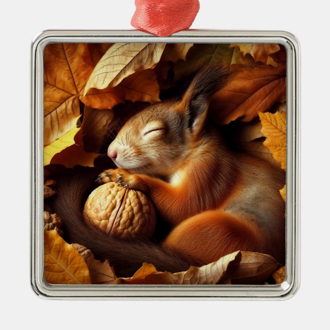 Ornamento de ardilla para dormir (Frente)