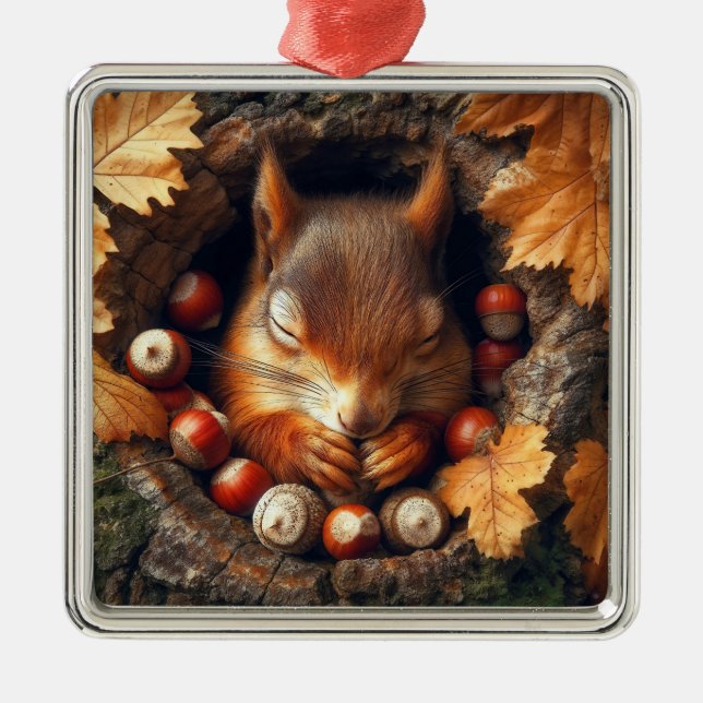 Ornamento de ardilla para dormir (Frente)