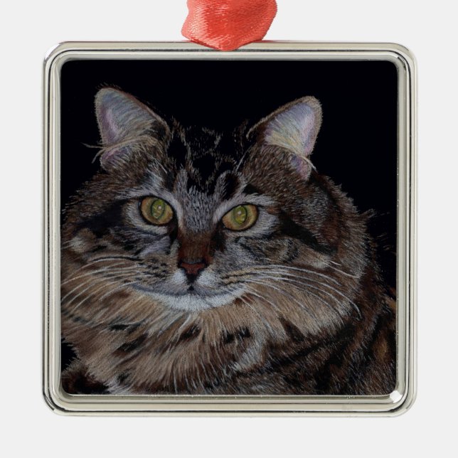 Ornamento de arte de Maine Coon Cat (Frente)