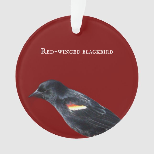 Ornamento de ave negra de ala roja (Anverso)