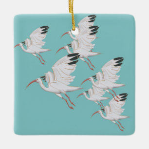 Ornamento de aves Ibis