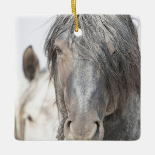 Ornamento de azus e iris silvestres hoofbeats