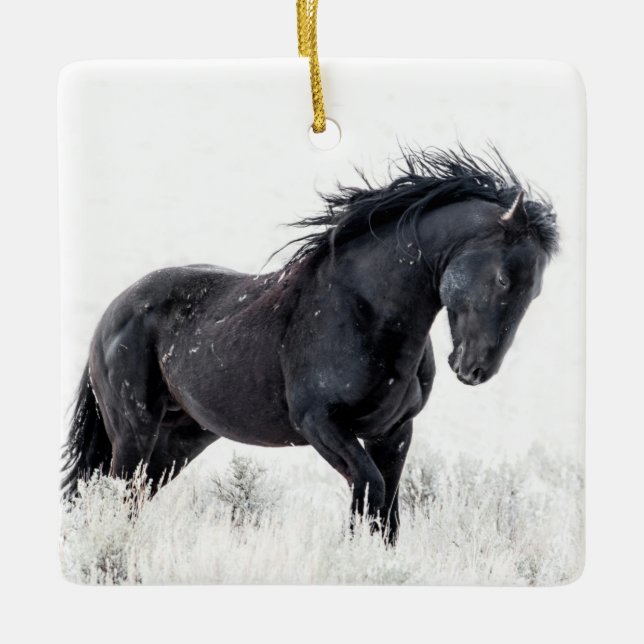 Ornamento de "bailarina de hielo" (Anverso)