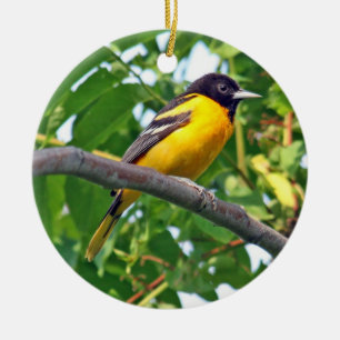 Ornamento de Baltimore Oriole