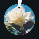 Ornamento de belleza de rosa blanca<br><div class="desc">Rosa blanca bajo cielo azul. La vibrante foto de un hermoso rosa floreciente hace un gran regalo de arte floral en la pared. La belleza tranquila de la rosa blanca refleja nuevos comienzos, pureza, lealtad e inocencia. Las rosas blancas simbolizan el amor joven que la novia tiene por su cónyuge....</div>