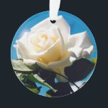 Ornamento de belleza de rosa blanca<br><div class="desc">Rosa blanca bajo cielo azul. La vibrante foto de un hermoso rosa floreciente hace un gran regalo de arte floral en la pared. La belleza tranquila de la rosa blanca refleja nuevos comienzos, pureza, lealtad e inocencia. Las rosas blancas simbolizan el amor joven que la novia tiene por su cónyuge....</div>