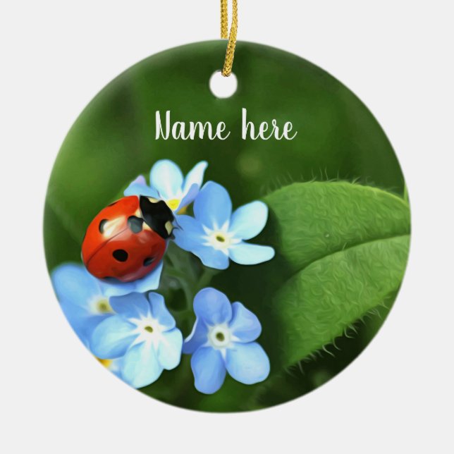 Ornamento De Bicho De Ladybug (Frente)