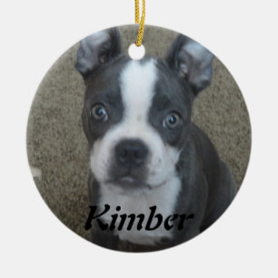 Ornamento de Boston Terrier