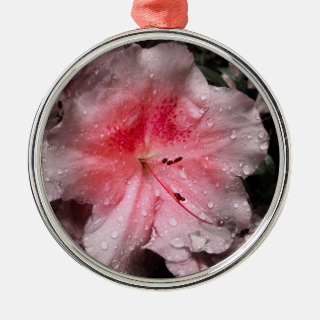 Ornamento de brillo interior (Frente)