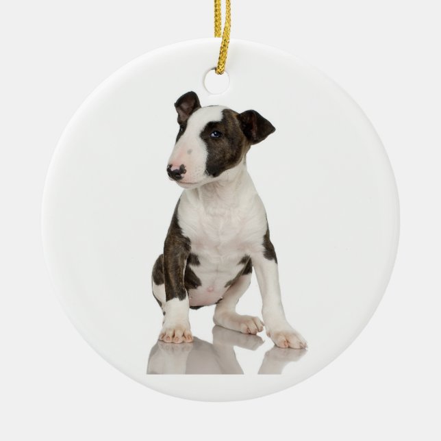 Ornamento de bull terrier (Frente)