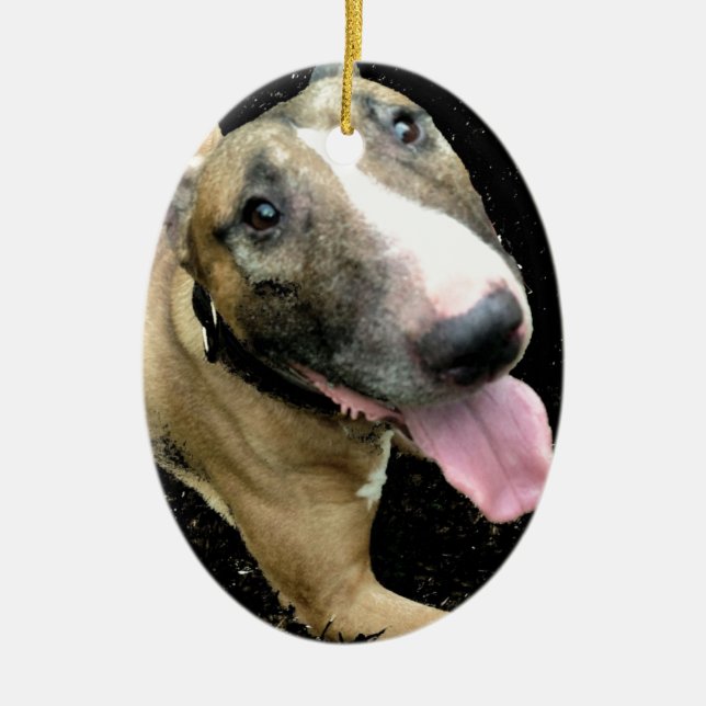 Ornamento de bull terrier del inglés (Frente)