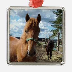 Ornamento de caballos