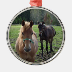 Ornamento de caballos