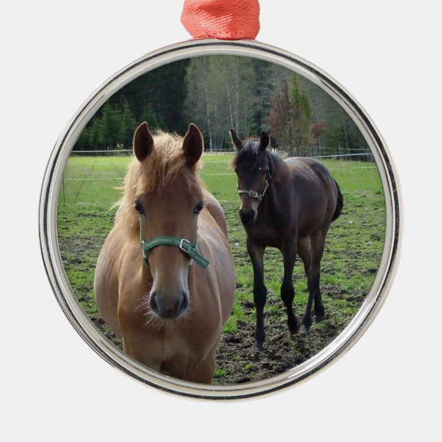 Ornamento de caballos (Frente)