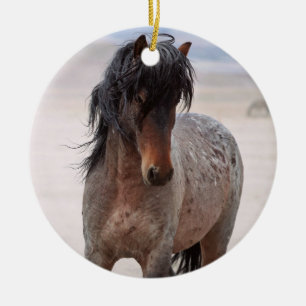 Ornamento de caballos salvajes Onaqui