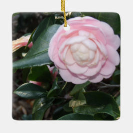 Ornamento de camellia rosa