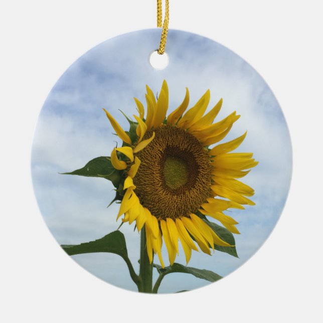 Ornamento de campo de girasol (Frente)