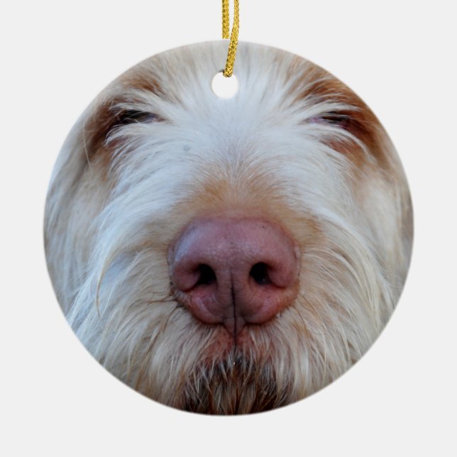 Ornamento de cerámica de Booper de Luigi (Frente)